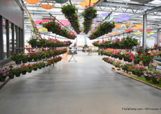 Tunnel of Toscana's.